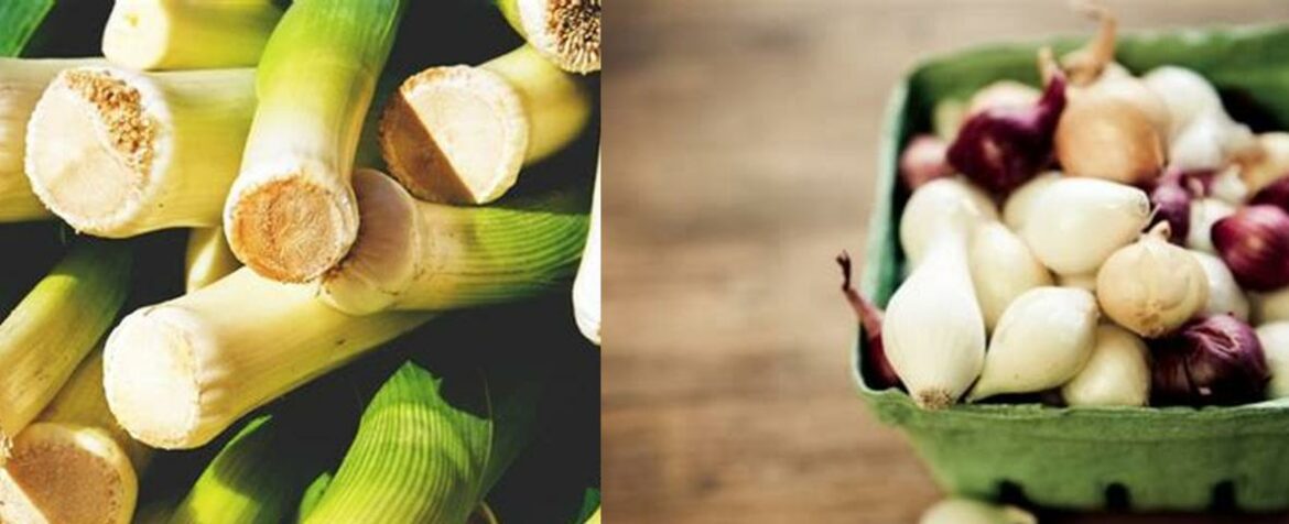 alternative-to-pearl-onions