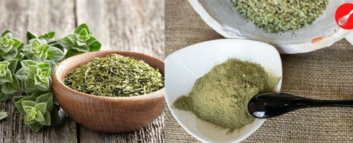 Dried Oregano vs Ground Oregano: Which Packs a More Flavorful Punch