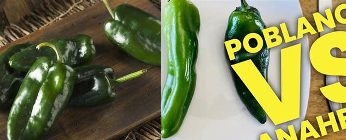Poblano Vs Anaheim Pepper: Which Mild Pepper Reigns Supreme in the
