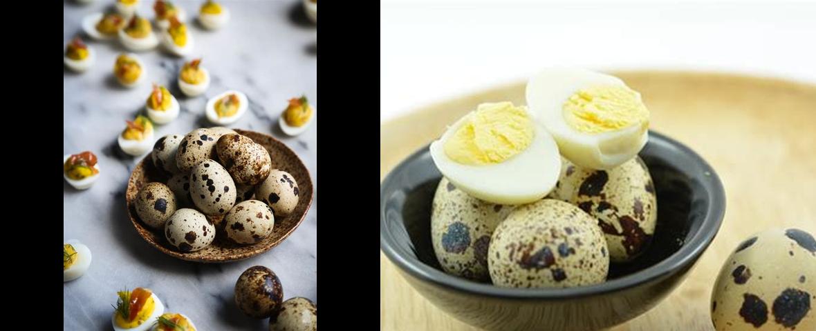 What Does Quail Eggs Taste Like? Discover the Delicacies of These Tiny