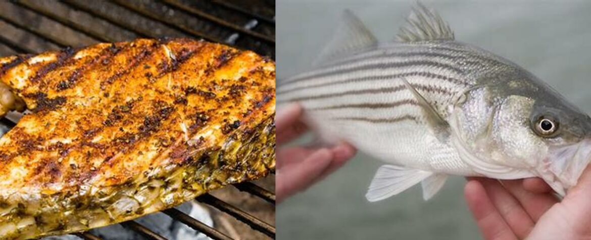 striped-bass-taste