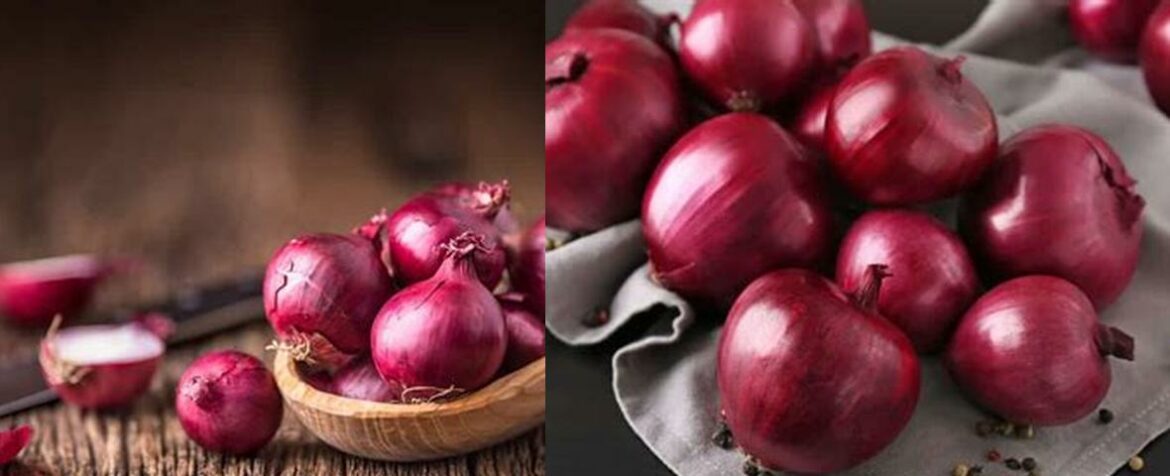 substitute-for-red-onion