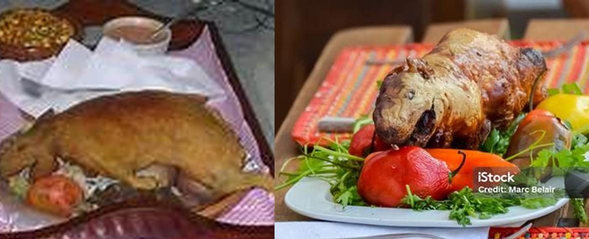 Image showcasing What Does Guinea Pigs Taste Like? Unveiling the Culinary Secrets and ...