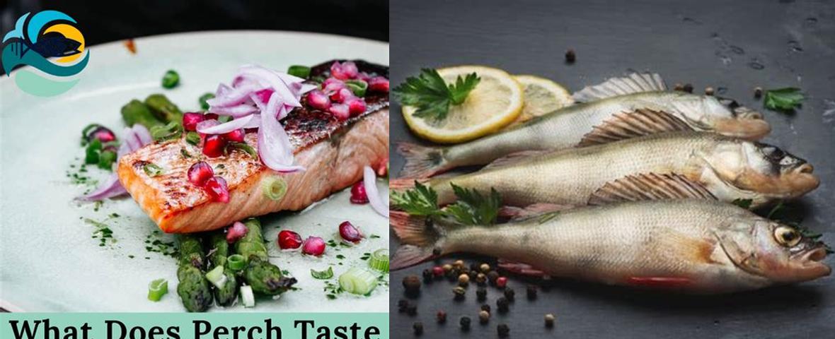 What Does Perch Taste Like Discover The Delightful Flavors Of Ocean What Does Perch Taste Like 